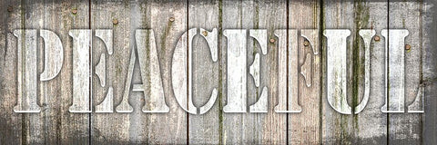 Country Sign V1 2 White Modern Wood Framed Art Print with Double Matting by LightBoxJournal