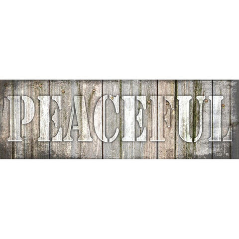 Country Sign V1 2 Black Modern Wood Framed Art Print by LightBoxJournal