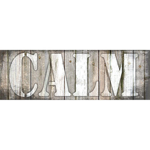 Country Sign V1 5 Black Modern Wood Framed Art Print with Double Matting by LightBoxJournal