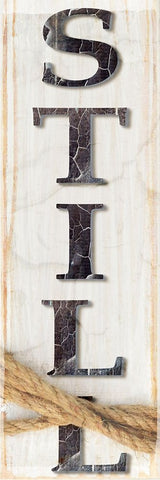Country Wood Sign V1 3 White Modern Wood Framed Art Print with Double Matting by LightBoxJournal