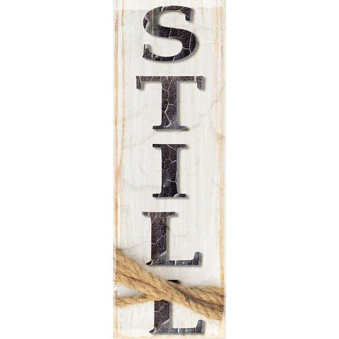 Country Wood Sign V1 3 Black Modern Wood Framed Art Print with Double Matting by LightBoxJournal