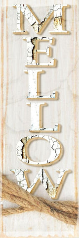 Country Wood Sign V2 2 Black Ornate Wood Framed Art Print with Double Matting by LightBoxJournal