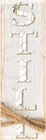 Country Wood Sign V2 3 Black Ornate Wood Framed Art Print with Double Matting by LightBoxJournal