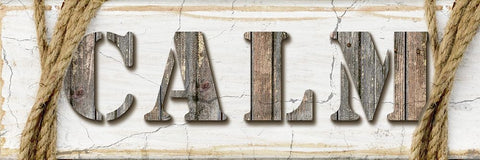 Country Wood Sign V3 2 White Modern Wood Framed Art Print with Double Matting by LightBoxJournal