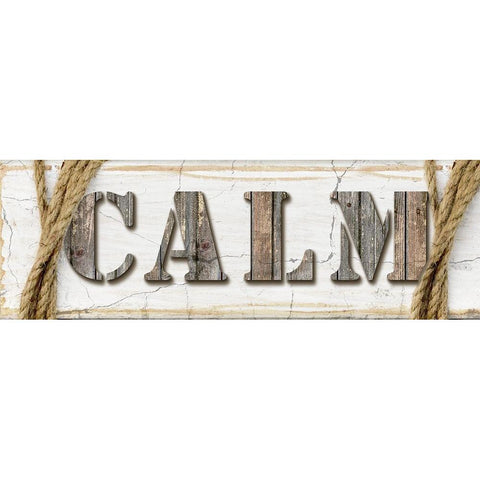 Country Wood Sign V3 2 Black Modern Wood Framed Art Print by LightBoxJournal