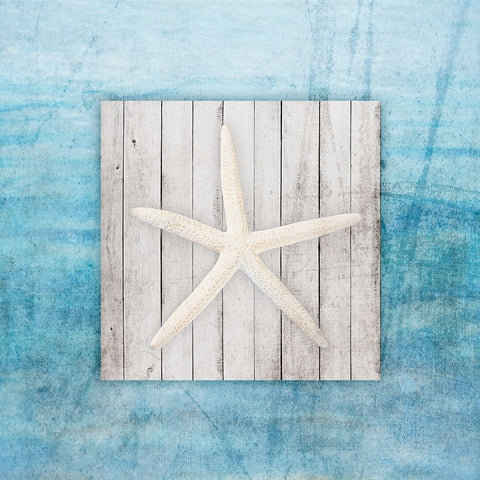 Framed Gypsy Sea V2 1 Black Ornate Wood Framed Art Print with Double Matting by LightBoxJournal