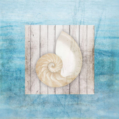 Framed Gypsy Sea V2 3 Black Modern Wood Framed Art Print with Double Matting by LightBoxJournal