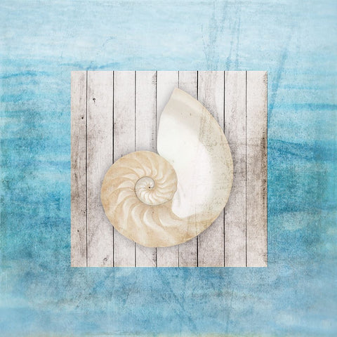 Framed Gypsy Sea V2 3 White Modern Wood Framed Art Print with Double Matting by LightBoxJournal