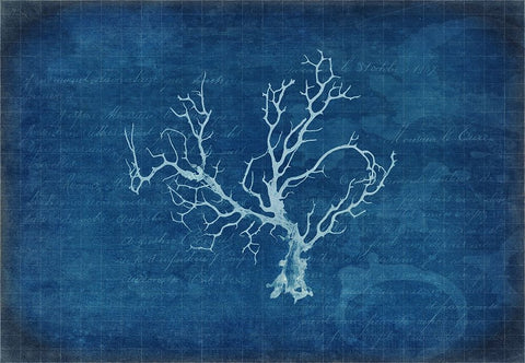 Gypsy Blue Cyanotype V1 Black Ornate Wood Framed Art Print with Double Matting by LightBoxJournal