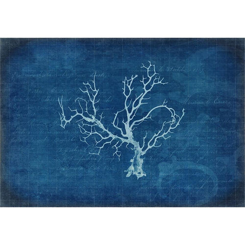 Gypsy Blue Cyanotype V1 Black Modern Wood Framed Art Print by LightBoxJournal