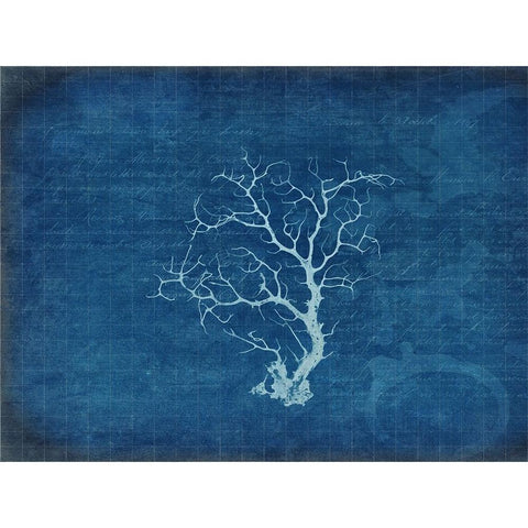Gypsy Blue Cyanotype V2 White Modern Wood Framed Art Print by LightBoxJournal