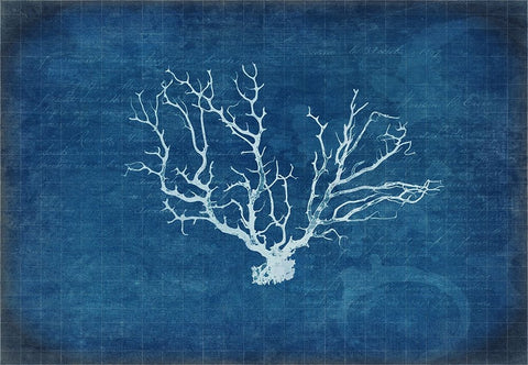 Gypsy Blue Cyanotype V3 Black Ornate Wood Framed Art Print with Double Matting by LightBoxJournal