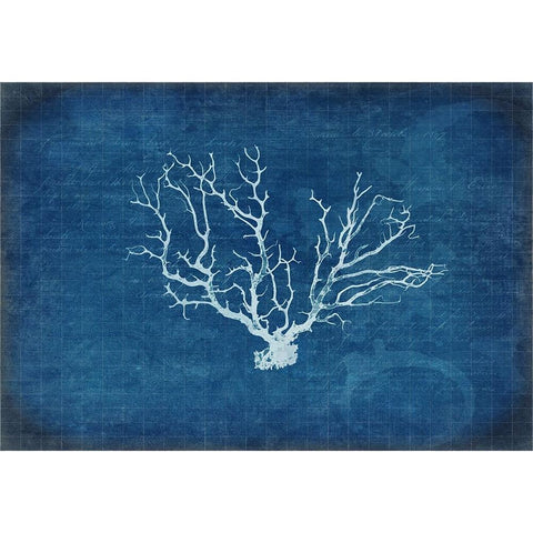 Gypsy Blue Cyanotype V3 Gold Ornate Wood Framed Art Print with Double Matting by LightBoxJournal