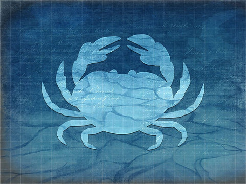 Gypsy Blue Cyanotype V4 Black Ornate Wood Framed Art Print with Double Matting by LightBoxJournal