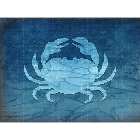 Gypsy Blue Cyanotype V4 Black Modern Wood Framed Art Print with Double Matting by LightBoxJournal