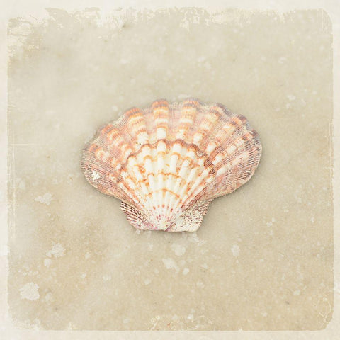 Gypsy Sea Brown 1 White Modern Wood Framed Art Print by LightBoxJournal