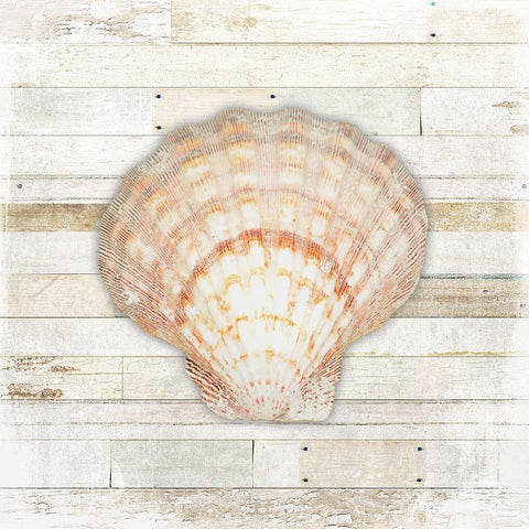 Gypsy Sea Coastal 1 Black Modern Wood Framed Art Print by LightBoxJournal
