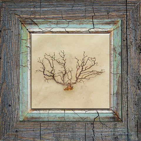 Gypsy Sea Framed 3 Black Ornate Wood Framed Art Print with Double Matting by LightBoxJournal