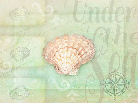 Gypsy Sea Green 1 White Modern Wood Framed Art Print with Double Matting by LightBoxJournal