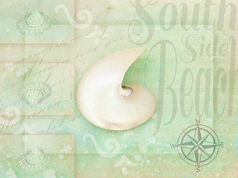 Gypsy Sea Green 2 Black Ornate Wood Framed Art Print with Double Matting by LightBoxJournal