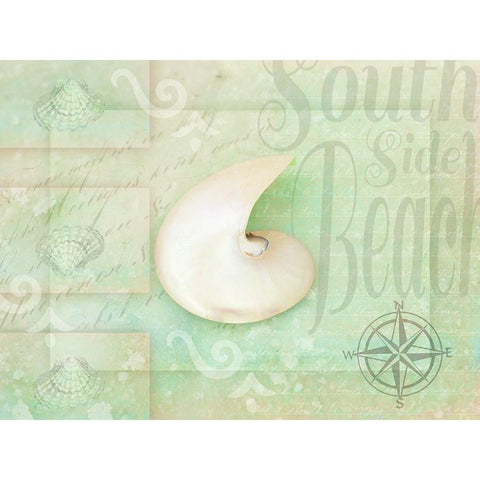 Gypsy Sea Green 2 Black Modern Wood Framed Art Print with Double Matting by LightBoxJournal