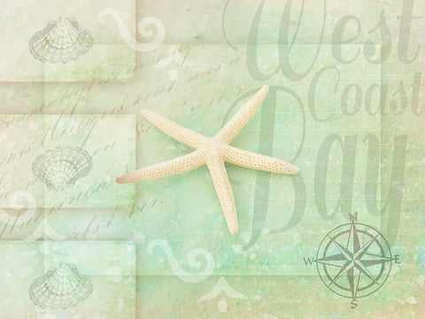 Gypsy Sea Green 3 White Modern Wood Framed Art Print with Double Matting by LightBoxJournal