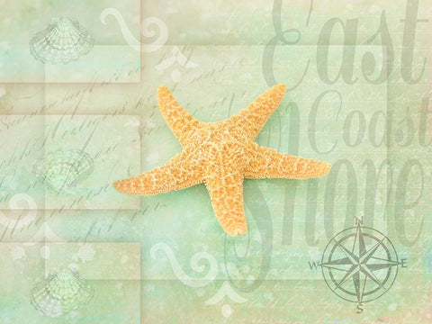 Gypsy Sea Green 4 White Modern Wood Framed Art Print with Double Matting by LightBoxJournal