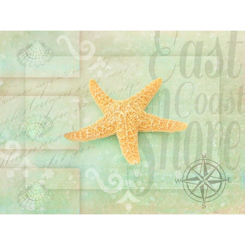 Gypsy Sea Green 4 White Modern Wood Framed Art Print by LightBoxJournal