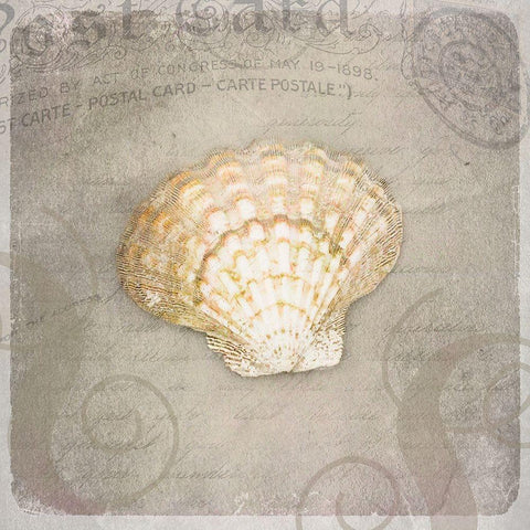 Gypsy Sea Love Letter White Modern Wood Framed Art Print by LightBoxJournal
