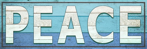 Gypsy Sea Sign V2 2 Black Ornate Wood Framed Art Print with Double Matting by LightBoxJournal