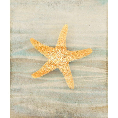 Gypsy Star 1 Black Modern Wood Framed Art Print by LightBoxJournal