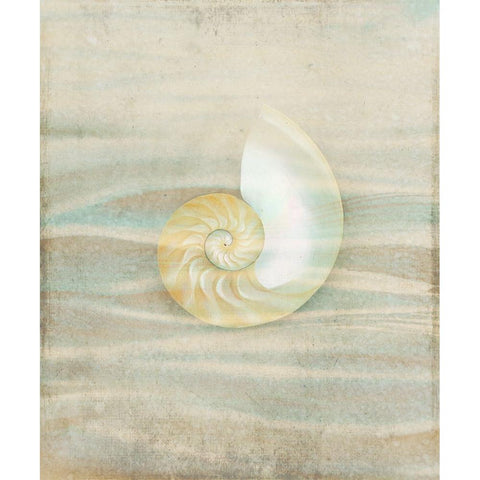 Gypsy Star 2 Black Modern Wood Framed Art Print with Double Matting by LightBoxJournal