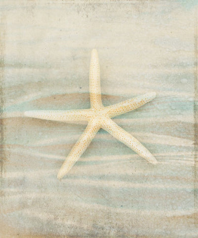 Gypsy Star 3 Black Ornate Wood Framed Art Print with Double Matting by LightBoxJournal