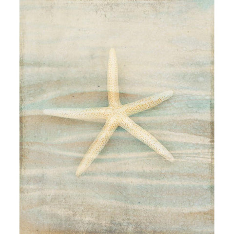 Gypsy Star 3 Black Modern Wood Framed Art Print by LightBoxJournal