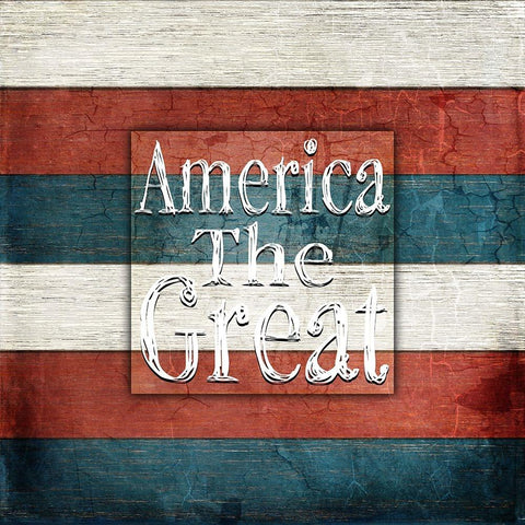 American Freedom Collection 5 White Modern Wood Framed Art Print by LightBoxJournal