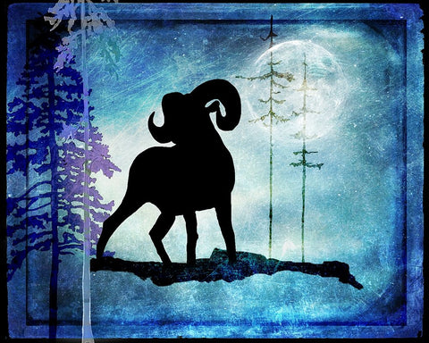 Midnight Sheep Black Ornate Wood Framed Art Print with Double Matting by LightBoxJournal