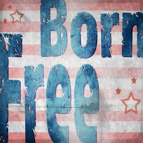 American Born Free Sign Collection 1 Gold Ornate Wood Framed Art Print with Double Matting by LightBoxJournal