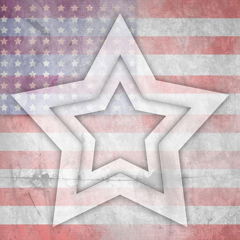 American Born Free Sign Collection V10 White Modern Wood Framed Art Print by LightBoxJournal