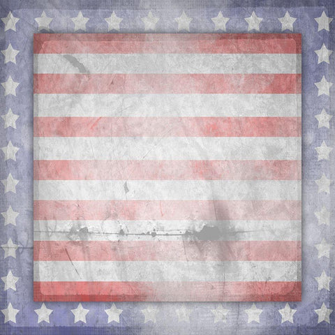 American Born Free Sign Collection V13 White Modern Wood Framed Art Print by LightBoxJournal