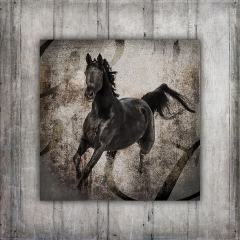 GypsyHorse Collection V1 6 Black Ornate Wood Framed Art Print with Double Matting by LightBoxJournal