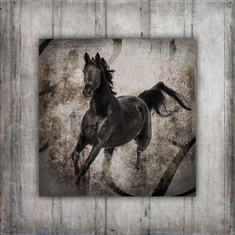 GypsyHorse Collection V1 6 White Modern Wood Framed Art Print by LightBoxJournal