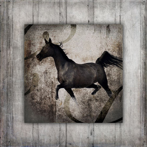 GypsyHorse Collection V1 7 Black Ornate Wood Framed Art Print with Double Matting by LightBoxJournal