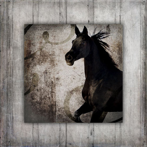 GypsyHorse Collection V1 8 White Modern Wood Framed Art Print with Double Matting by LightBoxJournal