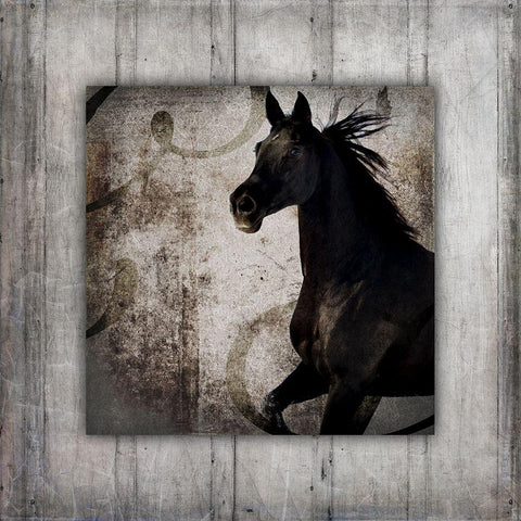 GypsyHorse Collection V1 8 Gold Ornate Wood Framed Art Print with Double Matting by LightBoxJournal