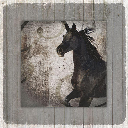 Image Only
