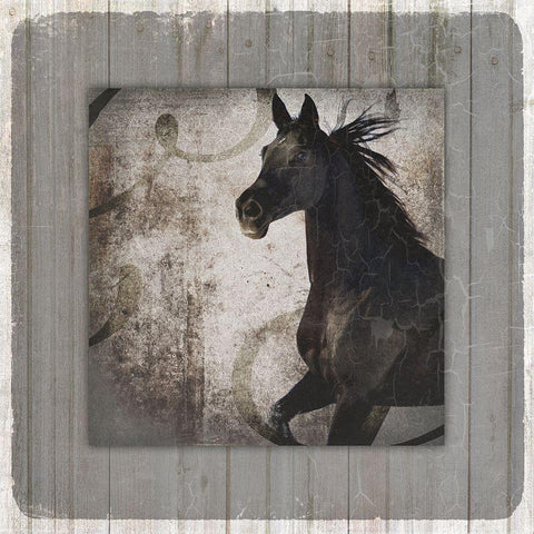 GypsyHorse Collection V1 9 Black Modern Wood Framed Art Print with Double Matting by LightBoxJournal