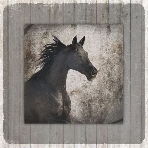 GypsyHorse Collection V1 10 White Modern Wood Framed Art Print with Double Matting by LightBoxJournal