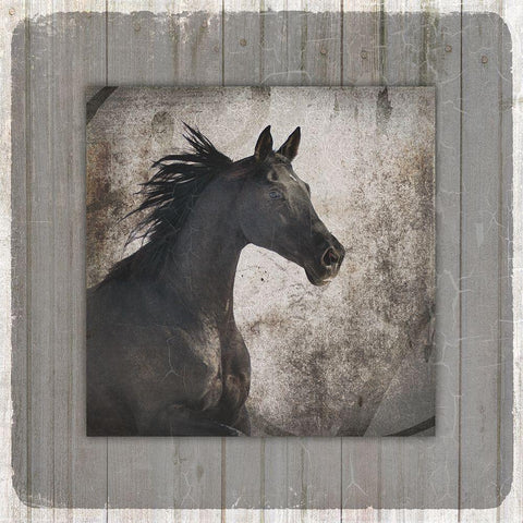 GypsyHorse Collection V1 10 Gold Ornate Wood Framed Art Print with Double Matting by LightBoxJournal