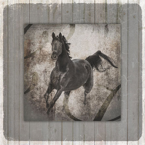 GypsyHorse Collection V1 11 Black Ornate Wood Framed Art Print with Double Matting by LightBoxJournal