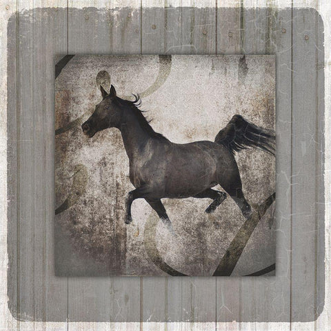 GypsyHorse Collection V1 12 Black Modern Wood Framed Art Print with Double Matting by LightBoxJournal